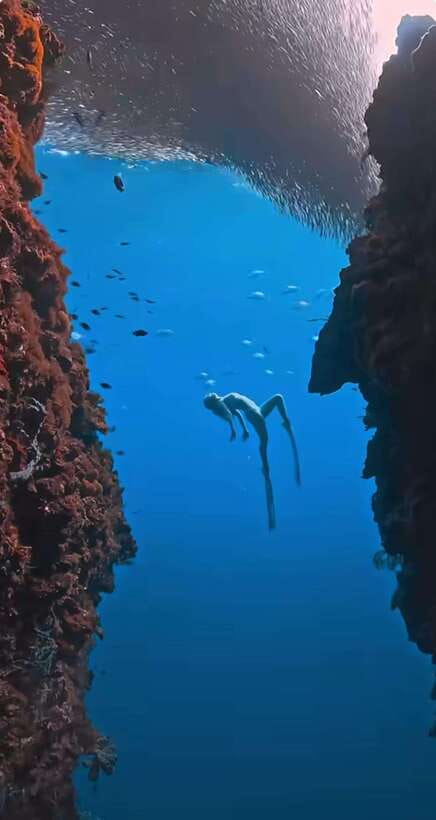 Bohol: Guided Sardine Reef Snorkeling Experience - Guides Dude, Rex, and the Human Side of the Trip