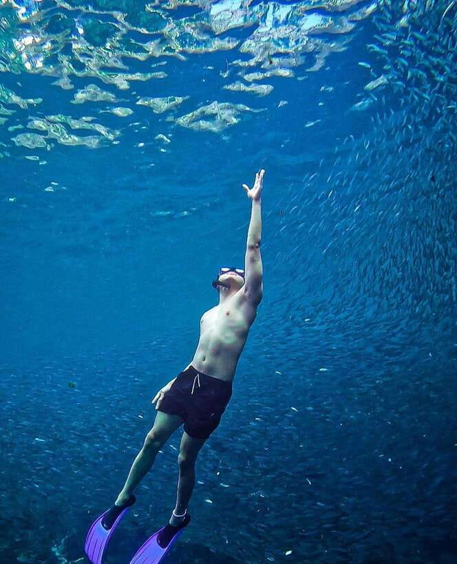 Bohol: Guided Sardine Reef Snorkeling Experience - Timing, Cancellations, and Practical Checks
