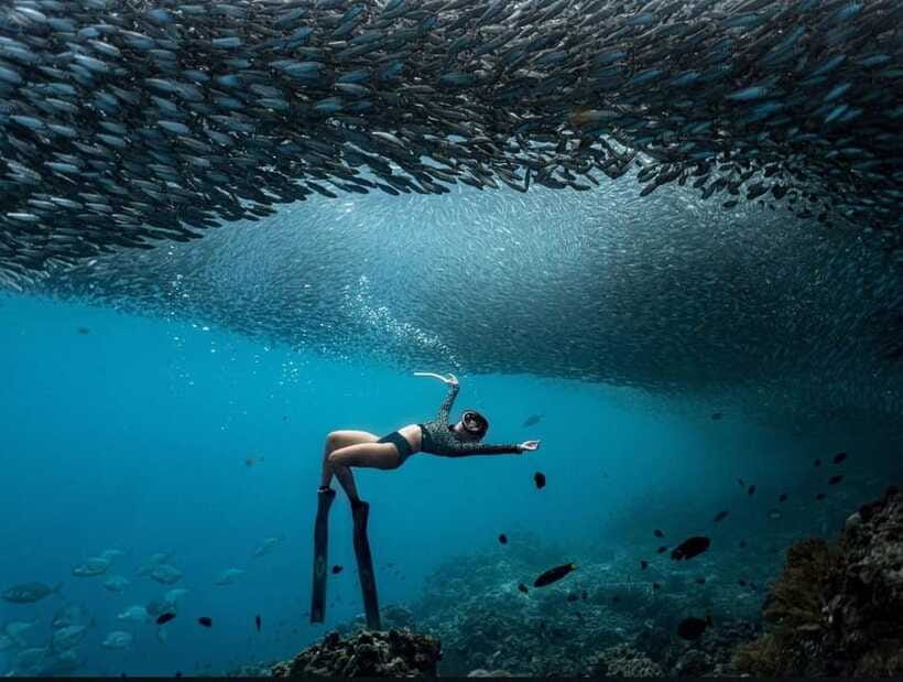 Bohol: Guided Sardine Reef Snorkeling Experience - FAQ