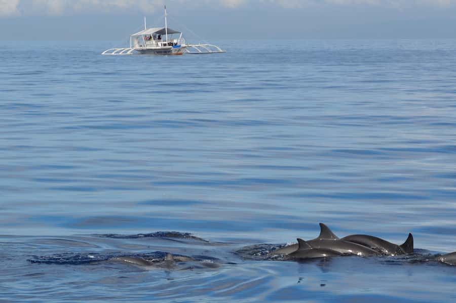 Bohol: Private Balicasag Tour with extra snorkeling time - Why Balicasag makes this six-hour trip worthwhile