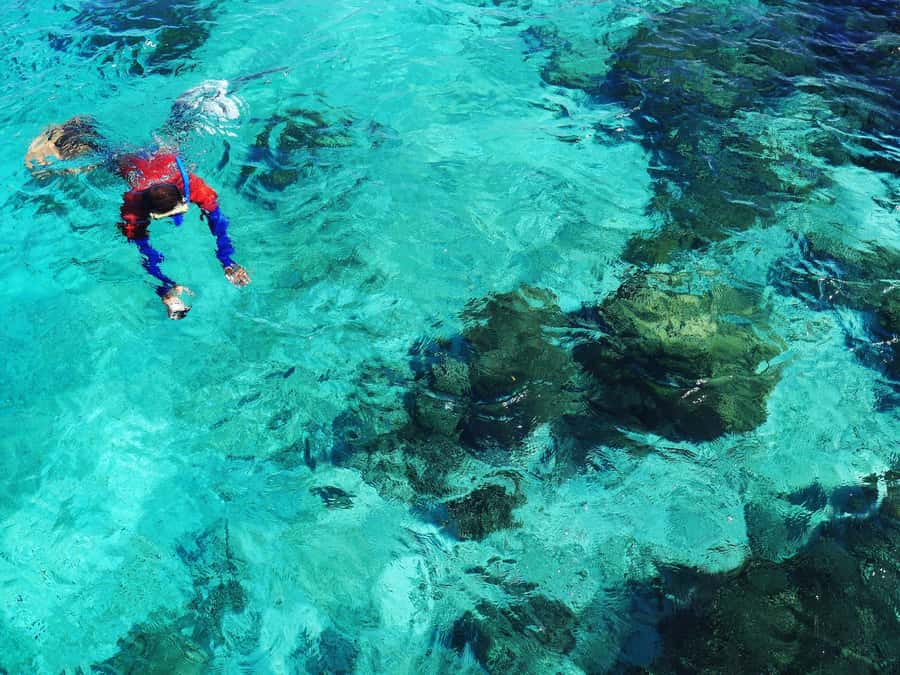 Bohol: Private Balicasag Tour with extra snorkeling time - The 9:15 AM extra snorkeling session
