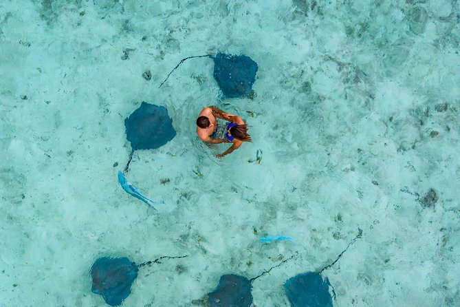 Bora Bora 4WD Tour & Eco Shark & Ray Snorkel Cruise - A break at Bloody Mary’s