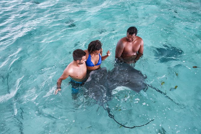 Bora Bora Eco Snorkel Cruise Including Snorkeling with Sharks and Stingrays - Key things to know before booking