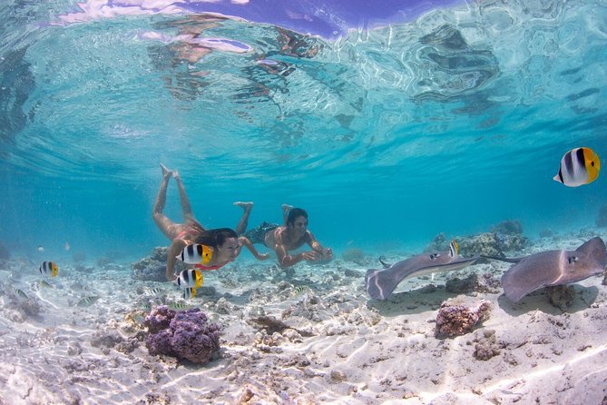 Bora Bora Eco Snorkel Cruise Including Snorkeling with Sharks and Stingrays - Why this lagoon trip is worth your time