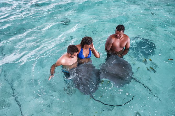Bora Bora Eco Snorkel Cruise Including Snorkeling with Sharks and Stingrays - Manta rays, eagle rays, and seasonal luck