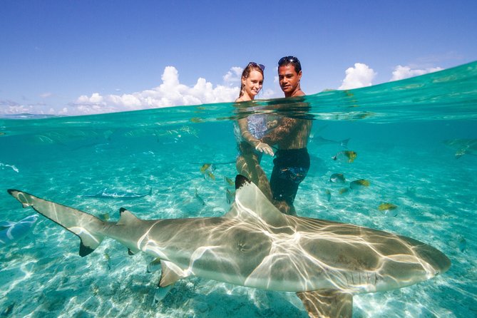 Bora Bora Eco Snorkel Cruise Including Snorkeling with Sharks and Stingrays - Morning or afternoon?