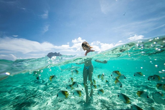 Bora Bora Eco Snorkel Cruise Including Snorkeling with Sharks and Stingrays - Who will enjoy this experience most?