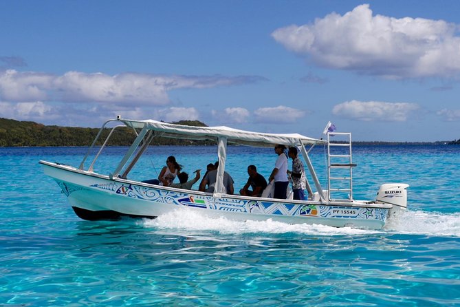 Bora Bora Eco Snorkel Cruise Including Snorkeling with Sharks and Stingrays - The coral garden and its small details