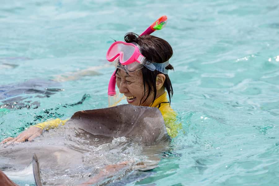 Bora Bora: Full-Day Lagoon Snorkelling Tour - The day begins with Bora Bora from the water