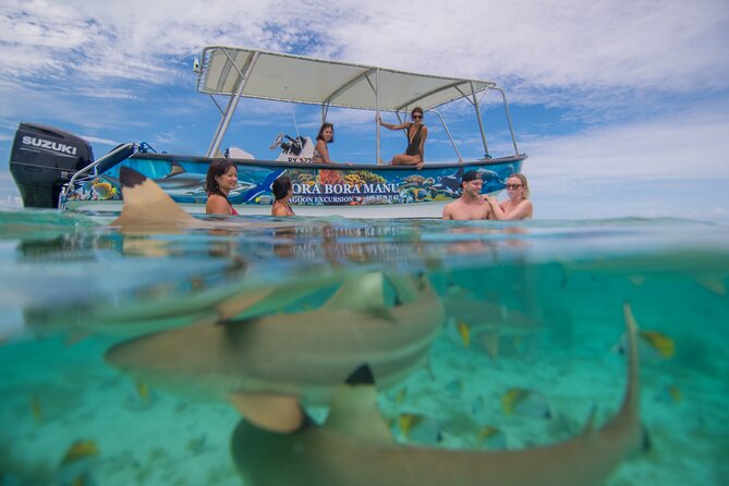 Bora Bora Full Day Snorkeling with Lunch - Coral Gardens: the best stop for reef life
