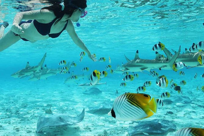 Bora Bora Full Day Snorkeling with Lunch - The guides make the difference