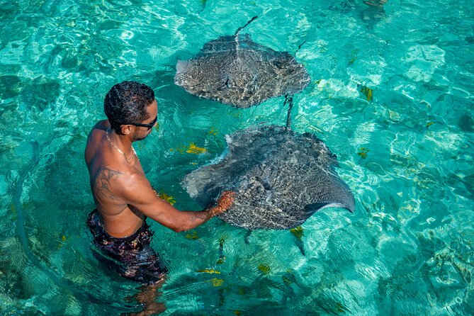 Bora Bora Full Day Snorkeling with Lunch - Anau and the manta ray search