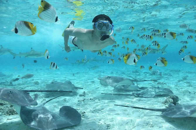 Bora Bora Jet Ski Tour, & Eco Shark / Ray Snorkel Cruise - Lunch at Lucky House, Fare Manuia