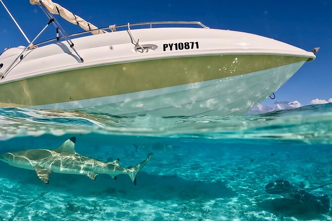 Bora Bora Jet Ski Tour, & Eco Shark / Ray Snorkel Cruise - Is $323.28 a fair price?