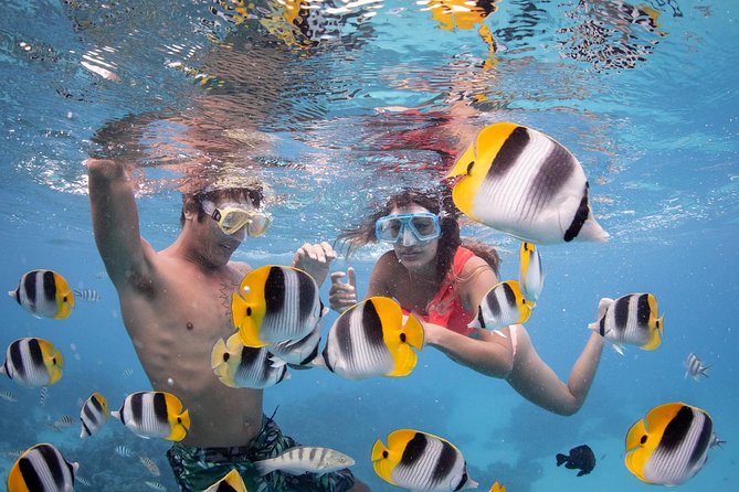 Bora Bora Jet Ski Tour, & Eco Shark / Ray Snorkel Cruise - Rough water can change the ride