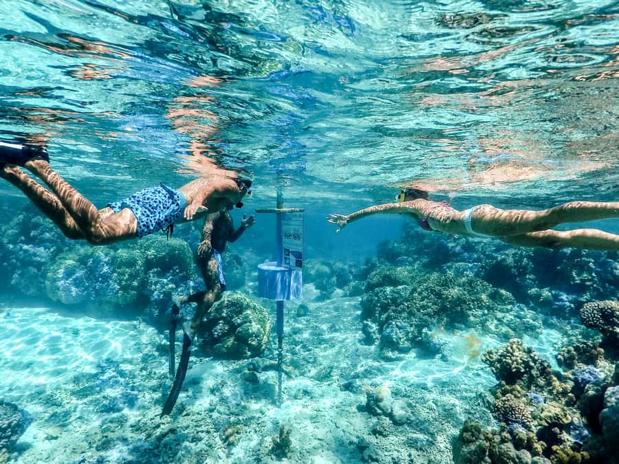 Bora Bora: Lagoon Tour and Snorkeling Experience - FAQ