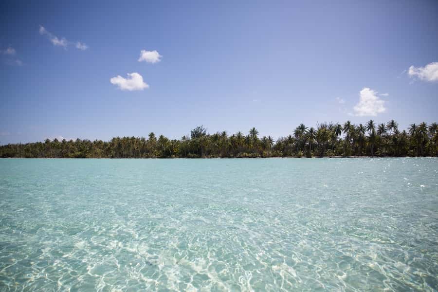 Bora Bora: Lagoon Tour and Snorkeling Experience - A sandbank snack with Mount Otemanu in view