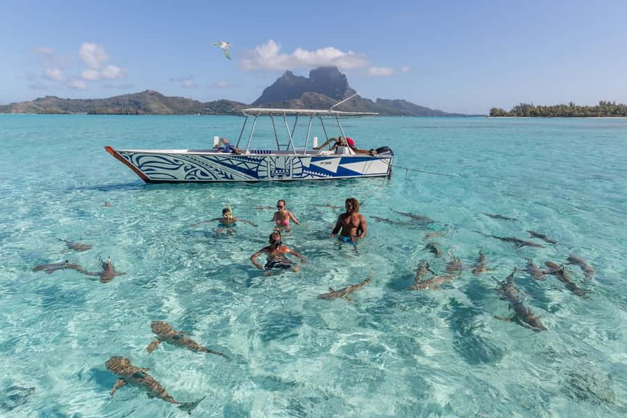 Bora Bora: Lagoon Tour and Snorkeling Experience - How much value do you get for $138?