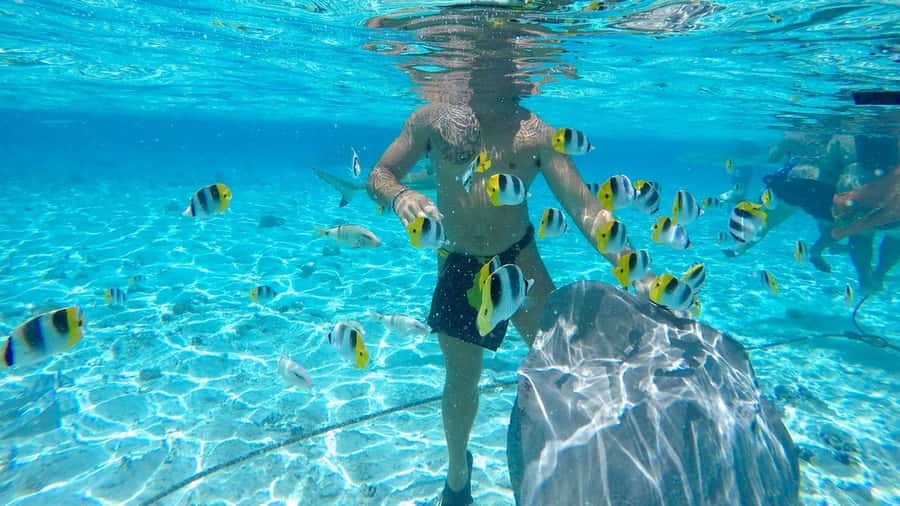 Bora Bora: Lagoon Tour and Snorkeling Experience - Practical tips for a smoother outing