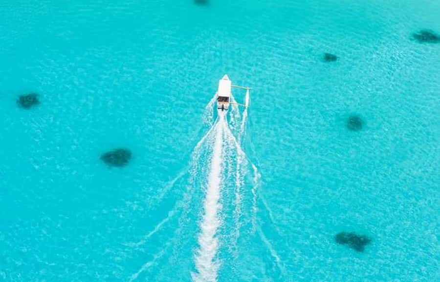 Bora Bora: Lagoon Tour and Snorkeling Experience - Should you book it?
