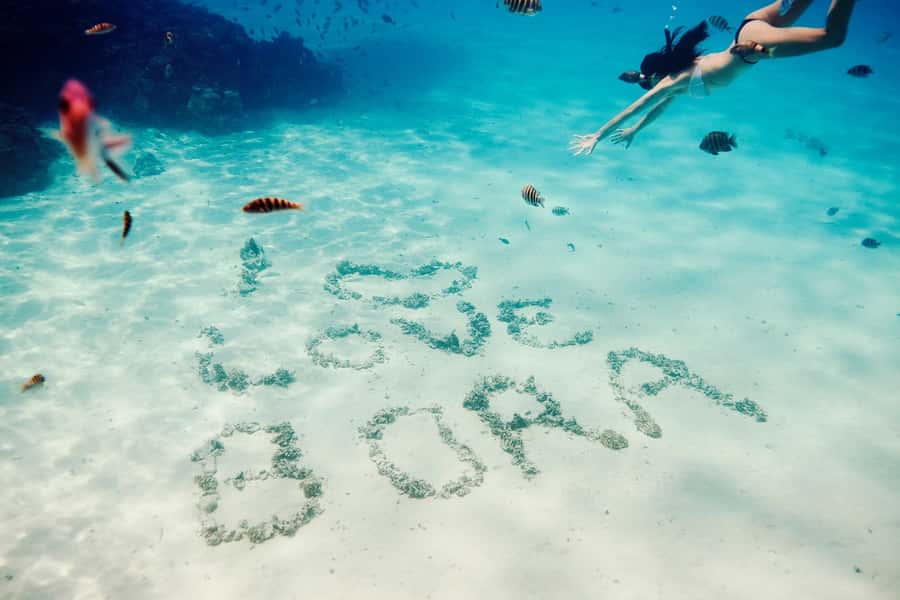 Bora Bora: Lagoon Tour and Snorkeling Experience - Why the guide can make or break the day