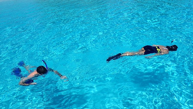 Bora Bora: Luxury Private Half Day Snorkeling Tour - Equipment, snacks, and the small practical details