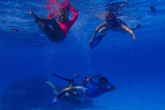 Bora Bora: Luxury Private Half Day Snorkeling Tour - Is $780 good value for your group?