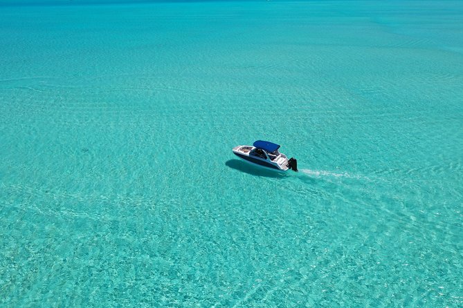 Bora Bora: Luxury Private Half Day Snorkeling Tour - Should you book it?
