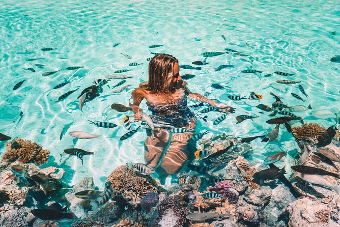 Bora Bora Snorkel Cruise by Polynesian Outrigger Canoe with BBQ Island Lunch - The coral garden is usually the strongest stop