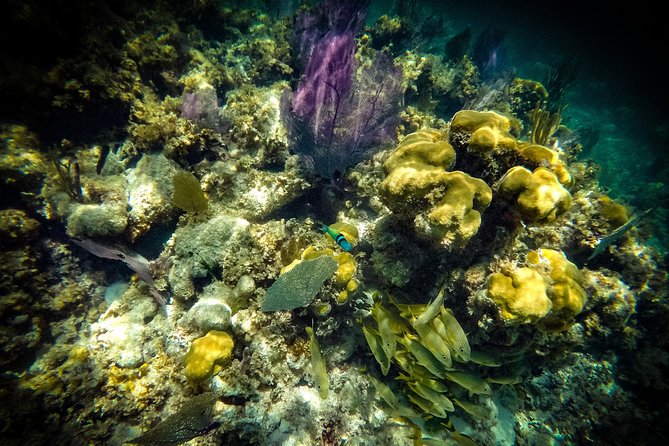 Breathtaking experience driving a speedboat in Cancun with Snorkeling included - What the one-hour speedboat portion is really worth
