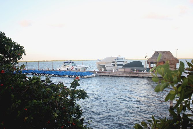 Breathtaking experience driving a speedboat in Cancun with Snorkeling included - Who will enjoy this Cancun tour most