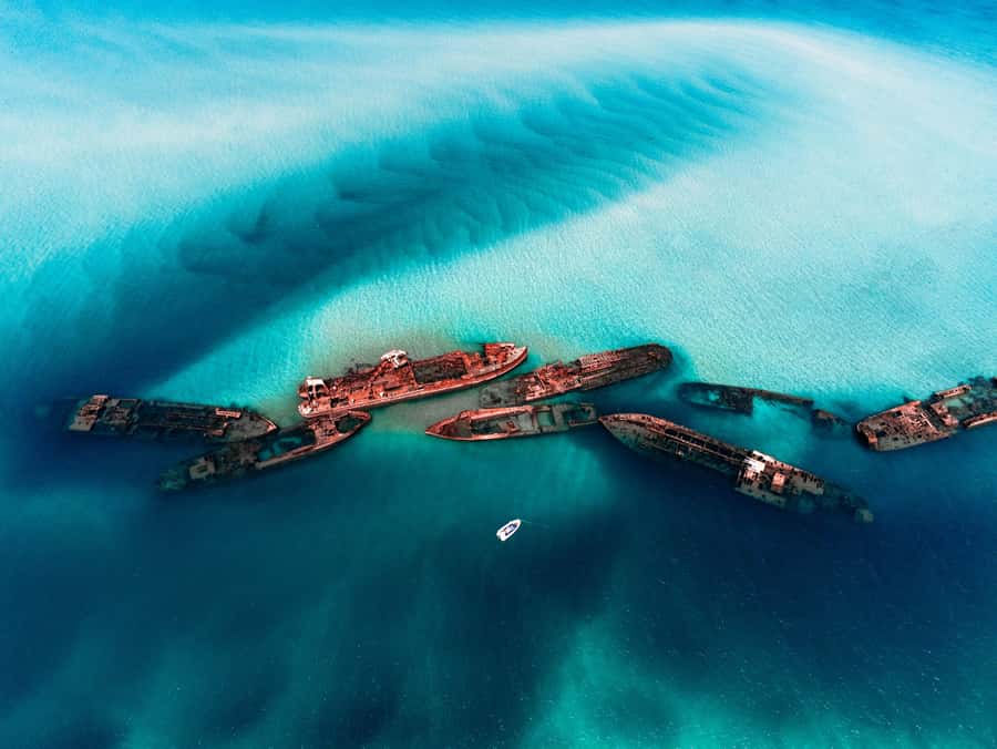 Brisbane: Moreton Island all inclusive Snorkeling Tour - Morning tea and an hour in the water