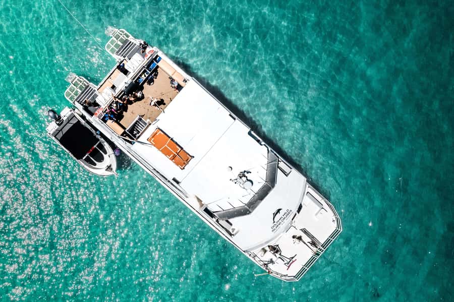 Brisbane: Moreton Island all inclusive Snorkeling Tour - Lunch, fruit, and a proper Moreton Island beach break