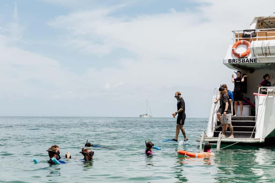 Brisbane: Moreton Island all inclusive Snorkeling Tour - The eco-marine cruise adds a second wildlife view