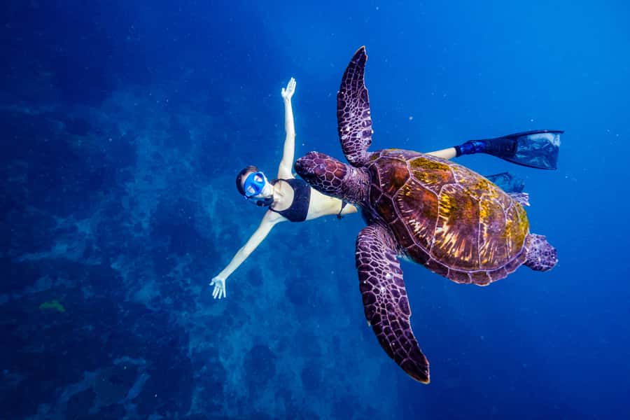 Brunswick Heads: Snorkelling in Byron Bay - From Brunswick Heads Boat Harbour to the Open Water