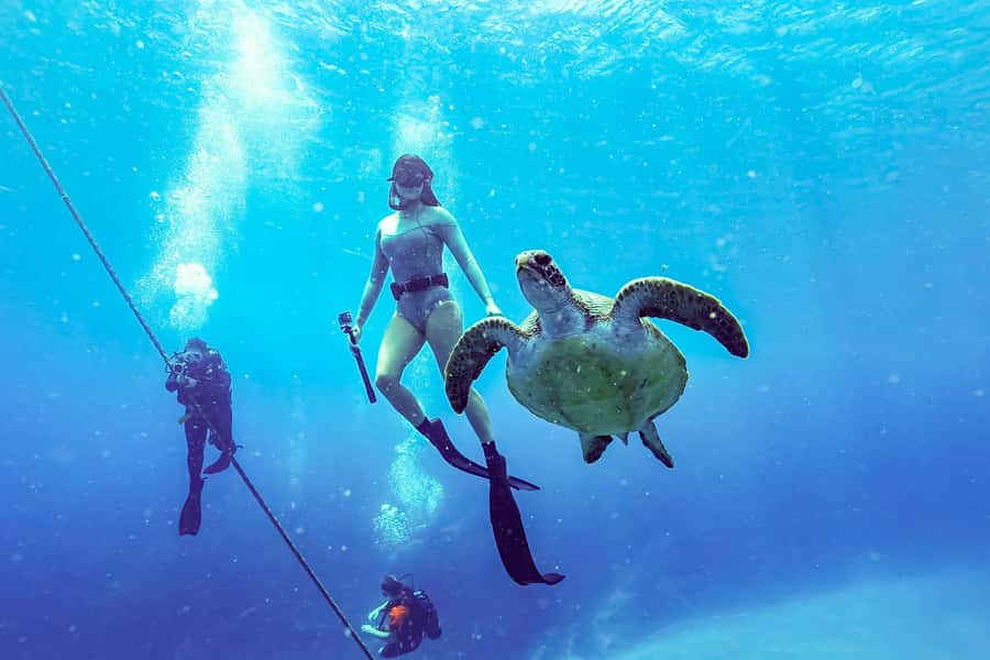 Brunswick Heads: Snorkelling in Byron Bay - What the Included Gear Means