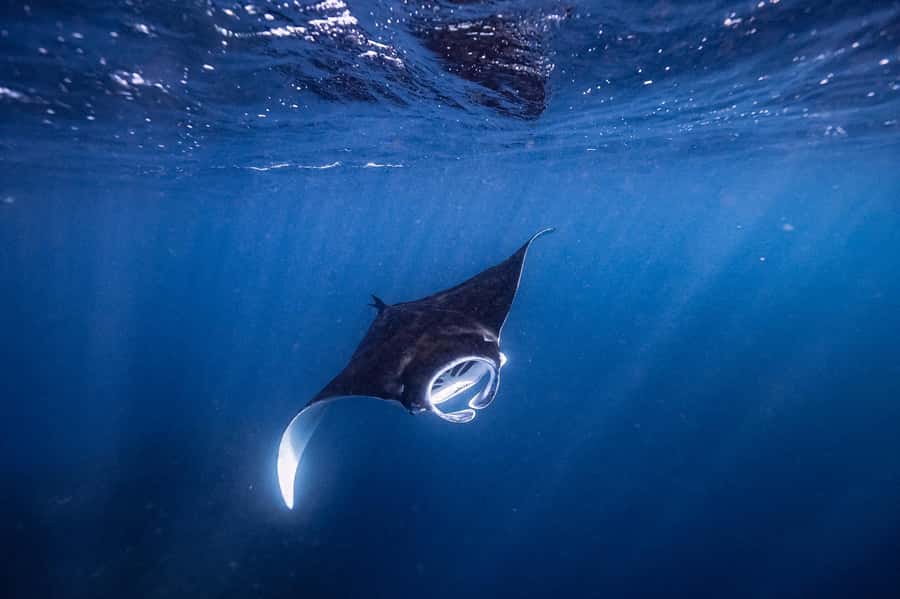 Brunswick Heads: Snorkelling in Byron Bay - What the Small Group Changes