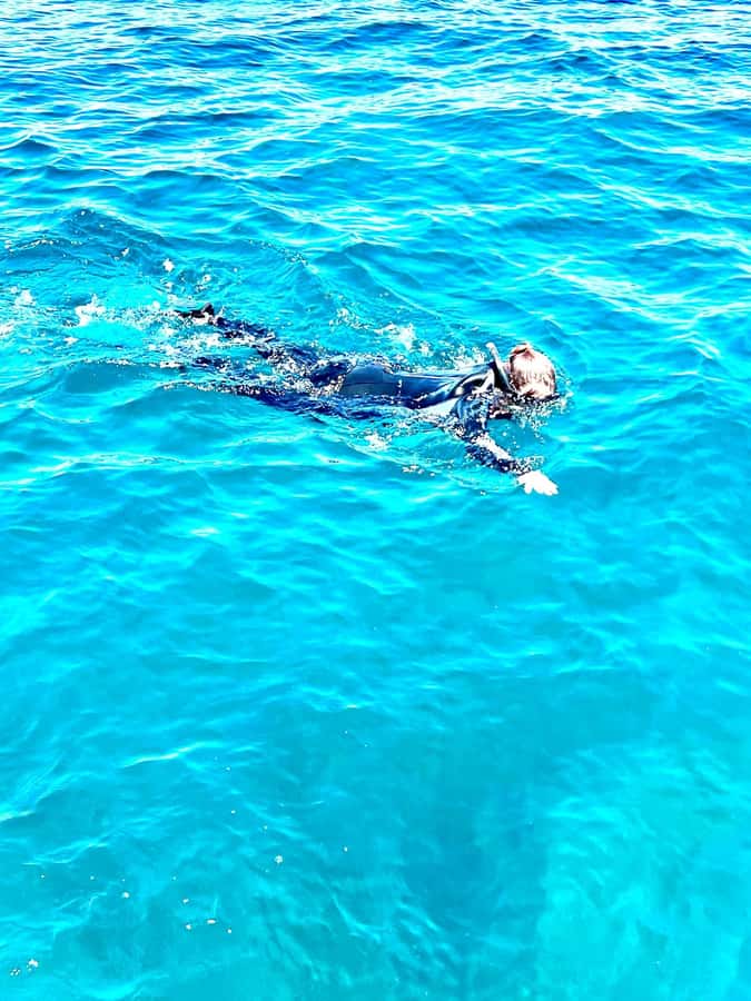 Busselton: Jetty Snorkeling Tour with Underwater Sculptures - The fast boat to the end of the jetty