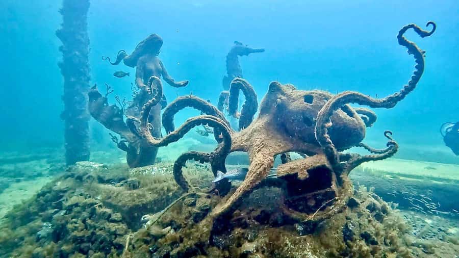 Busselton: Jetty Snorkeling Tour with Underwater Sculptures - Starting at Swan Dive on the Busselton foreshore