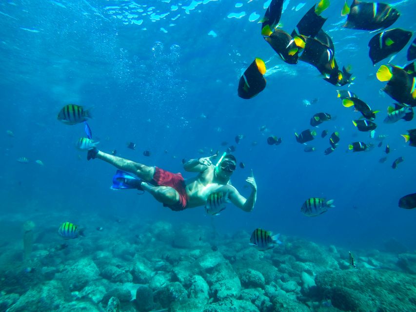 Cabo Catamaran Snorkel: Arch & Santa Maria, Open Bar, Snacks - Open-bar service, snacks, and the boat atmosphere