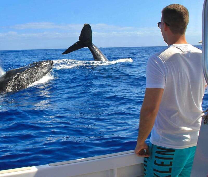 Cabo Catamaran Snorkel: Arch & Santa Maria, Open Bar, Snacks - Practical details that can improve your day