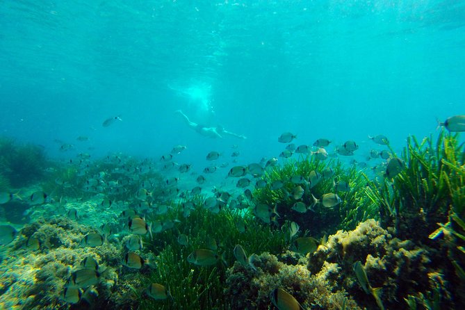Cabo de Gata Active. Guided kayak and snorkel route through coves of the Natural Park - Volcanic cliffs, coves, and coastal views