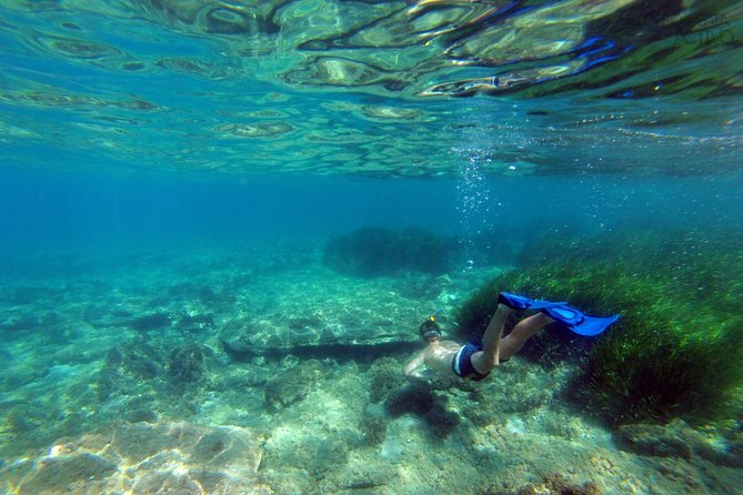 Cabo de Gata Active. Guided kayak and snorkel route through coves of the Natural Park - Who will enjoy this outing most?