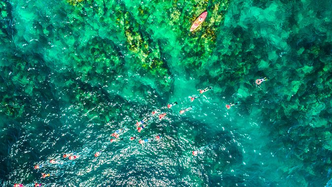 Cabo Escape Breakfast Snorkel Cruise - What the $300 price really buys you