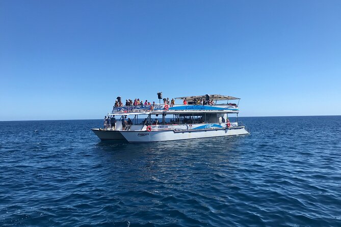 Cabo Escape Snorkel Fun Cruise - Grilled lunch after the water stop