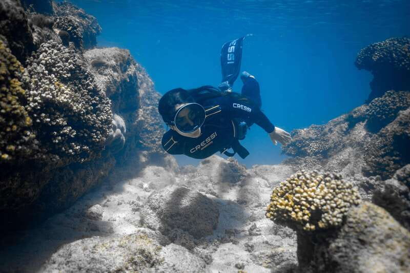 Cabo: Half-Day Kayak & Snorkel to Santa Maria & Chileno Bay - The three-hour schedule moves quickly