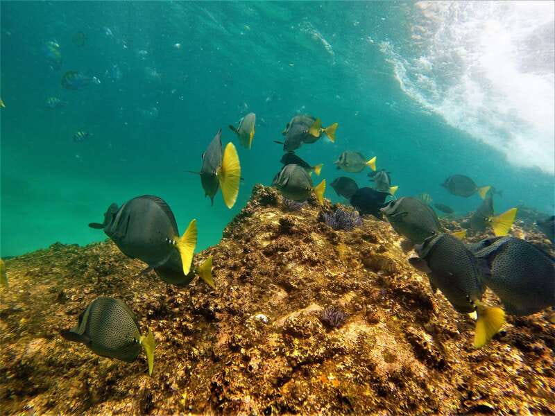 Cabo: Hidden Beach Day with Snorkeling in the Sea of Cortez - How the three-hour timing works