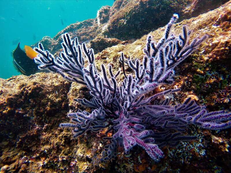 Cabo: Hidden Beach Day with Snorkeling in the Sea of Cortez - Is $72 a fair price?