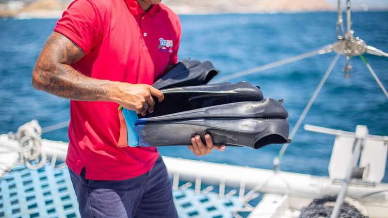 Cabo San Lucas: 4-Hour Snorkeling Cruise with Open Bar - Is $128 a fair price?