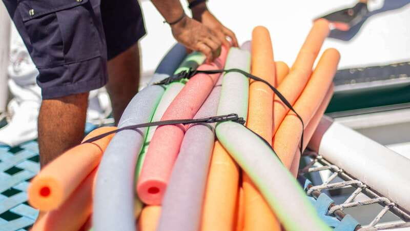 Cabo San Lucas: 4-Hour Snorkeling Cruise with Open Bar - Booking details that can save you trouble